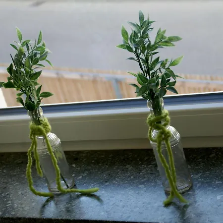 Romagna Mia - Ristorante Pizzeria Ξενοδοχείο *